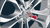 Wheel: Hub cap