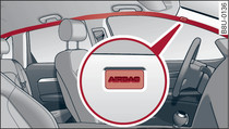 Punto in cui è installato l'airbag per la testa sopra le porte