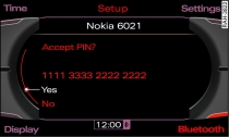 PIN display for entry on mobile phone