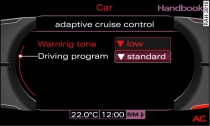 Display: adaptive cruise control