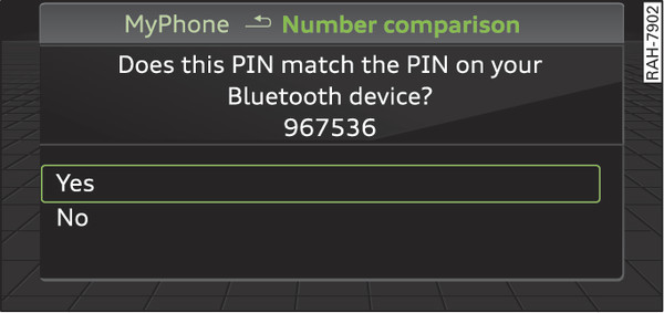 Fig. 215 PIN display for entry on mobile phone
