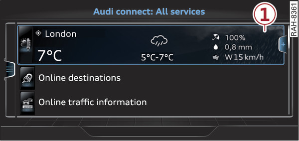 Fig. 227 Audi connect homepage