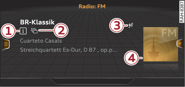 Fig. 245 Radio view: Detailed station information