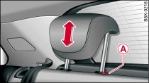 Rear seat: Adjusting and removing/installing head restraint