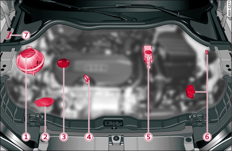 Typical locations of fluid containers, engine oil dipstick and engine oil filler cap