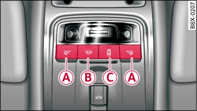 Revestimiento del techo: Iluminación interior delantera (ejemplo)