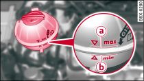 Compartiment-moteur : repères sur le vase d'expansion de liquide de refroidissement