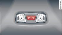 Rear headliner: LED reading lights* (example)