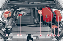 Typical locations of fluid containers, engine oil dipstick and engine oil filler cap