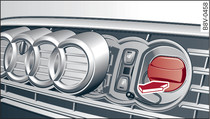 Radiator grille: Charging connection cap
