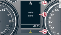 Painel de instrumentos: esquema de indicação de veículos com visor monocromático (exemplo)