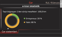 Temsili örnek: e-tron istatistik