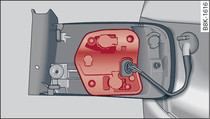 Halogen rear light: bulb carrier is highlighted