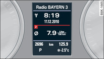 Instrument cluster: Average fuel consumption