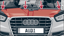 Trim panel: Attachment points are marked by arrows