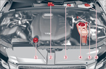 Typical locations of fluid containers and engine oil filler cap