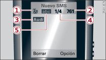 Información en la pantalla de SMS