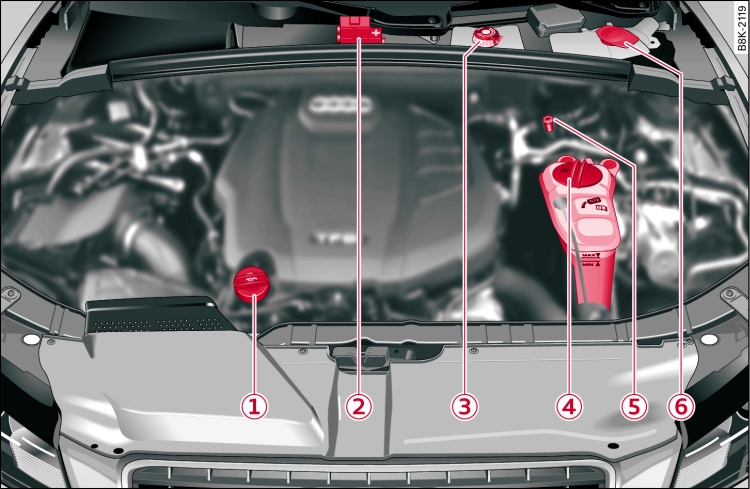 Typical locations of fluid containers and engine oil filler cap