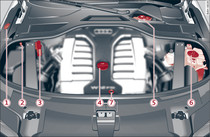 Расположение заправочных бачков, маслоналивного отверстия и масломерного щупа в двигателе W12