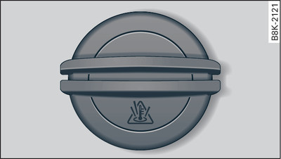 Engine compartment: Cap of coolant expansion tank