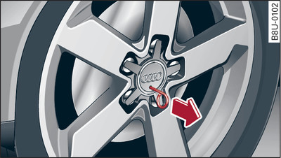 Wheel: Hub cap