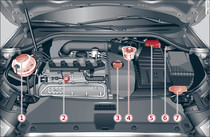Locations of fluid containers and engine oil filler cap