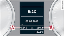 Instrument cluster: Odometer and trip recorder