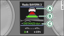 Instrumentenpaneel: Weergave op het display