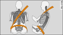 Posição da faixa do cinto no ombro e na bacia