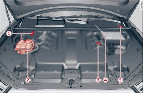 Fig. 311Disposición típica de los depósitos y de la boca de llenado del aceite del motor