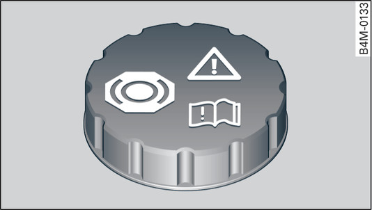 Fig. 314Compartimento del motor: Tapa del depósito del líquido de frenos