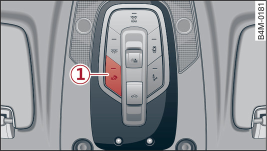 Fig. 228Parte delantera del techo: Tecla para la llamada de emergencia