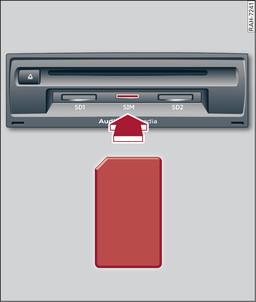 Fig. 216Tarjeta Mini SIM representada a tamaño real