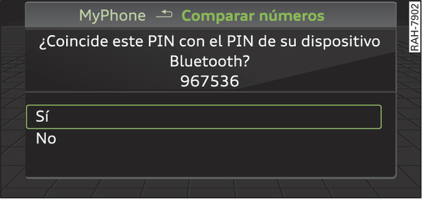 Fig. 215Indicación del PIN para introducir en el móvil