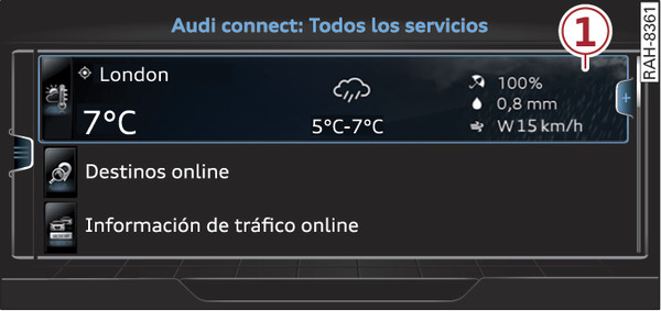 Fig. 227Página de inicio de Audi connect